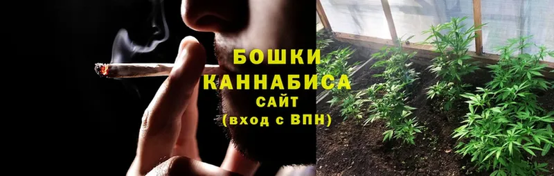 Конопля OG Kush  Дно 